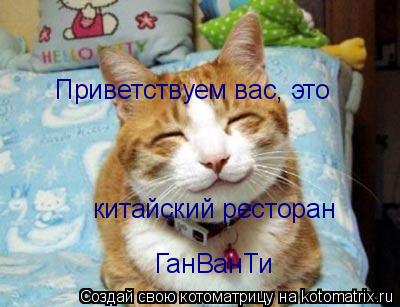 Приветствуем вас, это китайский ресторан ГанВанТи... Котоматрица: Приветствуем вас, это китайский ресторан ГанВанТи