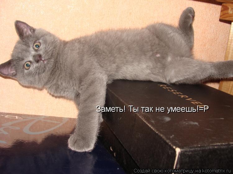 Заметь! Ты так не умеешь!=P... Котоматрица: Заметь! Ты так не умеешь!=P