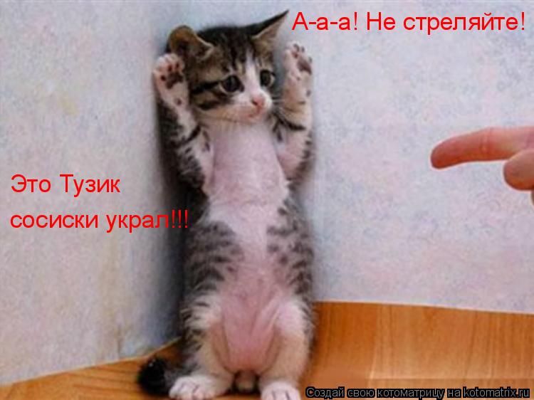 А-а-а! Не стреляйте! Это Тузик сосиски украл!!!... Котоматрица: А-а-а! Не стреляйте! Это Тузик сосиски украл!!!