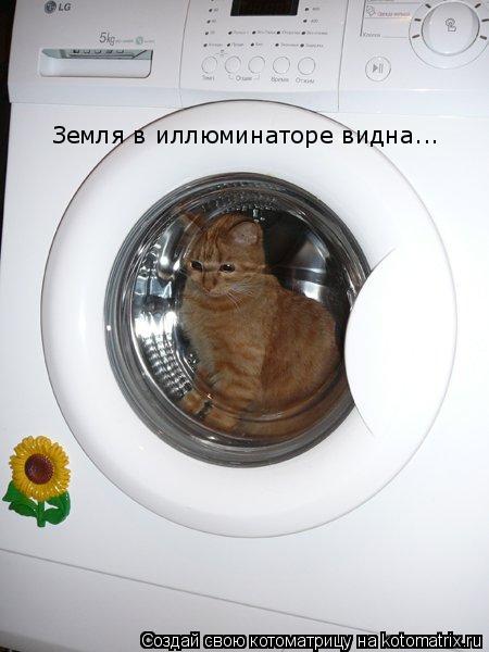 Земля в иллюминаторе видна...... Котоматрица: Земля в иллюминаторе видна...