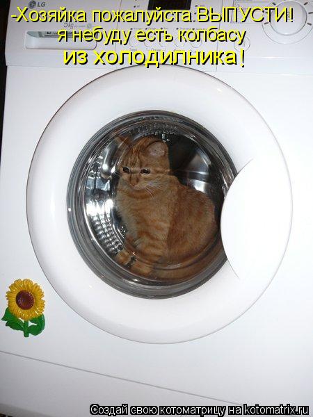 -Хозяйка пожалуйста ВЫПУСТИ! я небуду есть колбасу из холодилника !... Котоматрица: -Хозяйка пожалуйста ВЫПУСТИ! я небуду есть колбасу из холодилника !