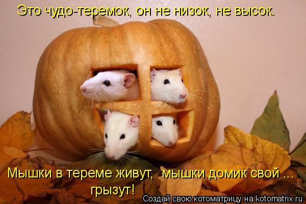 Это чудо-теремок, он не низок, не высок. Мышки в тереме живут, мышки домик свой ... грызут!... Котоматрица: Это чудо-теремок, он не низок, не высок. Мышки в тереме живут, мышки домик свой ... грызут!