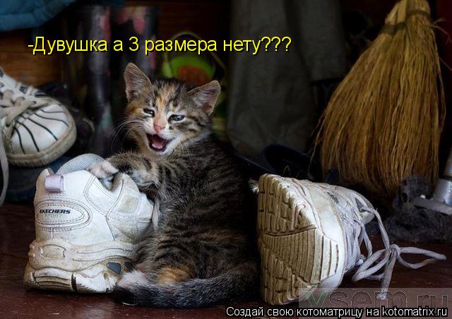 -Дувушка а 3 размера нету???... Котоматрица: -Дувушка а 3 размера нету???