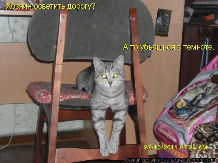 А то убьешься в темноте. Хозяин осветить дорогу?... Котоматрица: А то убьешься в темноте. Хозяин осветить дорогу?
