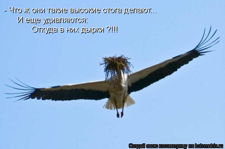 - Что ж они такие высокие стога делают... И еще удивляются: Откуда в них дырки ?!!!... Котоматрица: - Что ж они такие высокие стога делают... И еще удивляются: Откуда в них дырки ?!!!