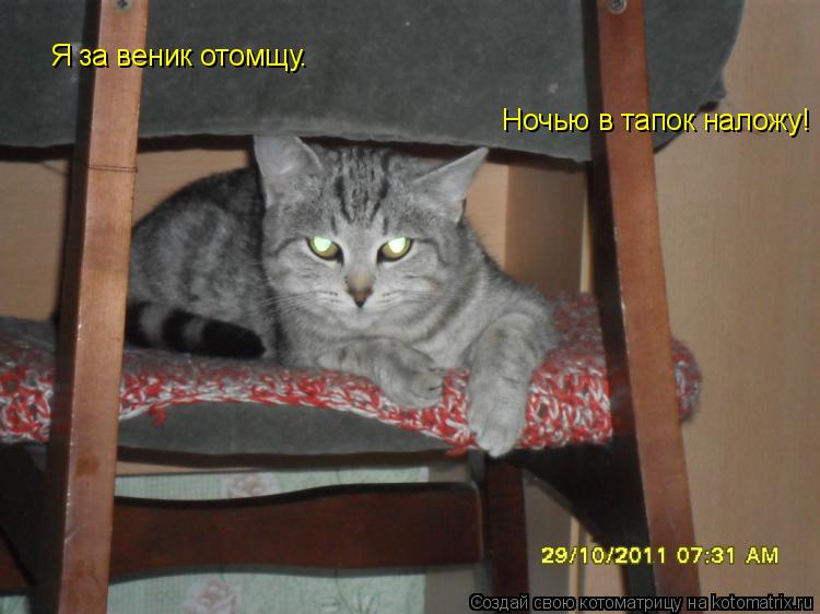 Ночью в тапок наложу! Я за веник отомщу.... Котоматрица: Ночью в тапок наложу! Я за веник отомщу.
