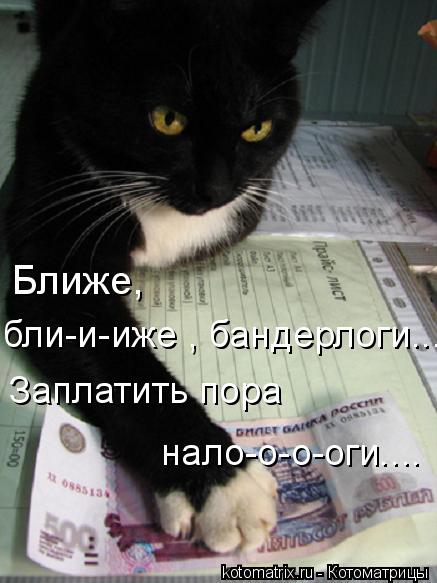 Ближе, бли-и-иже , бандерлоги.... Заплатить пора нало-о-о-оги....... Котоматрица: Ближе, бли-и-иже , бандерлоги.... Заплатить пора нало-о-о-оги....