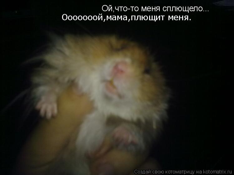 Ой,что-то меня сплющело... Ооооооой,мама,плющит меня.... Котоматрица: Ой,что-то меня сплющело... Ооооооой,мама,плющит меня.