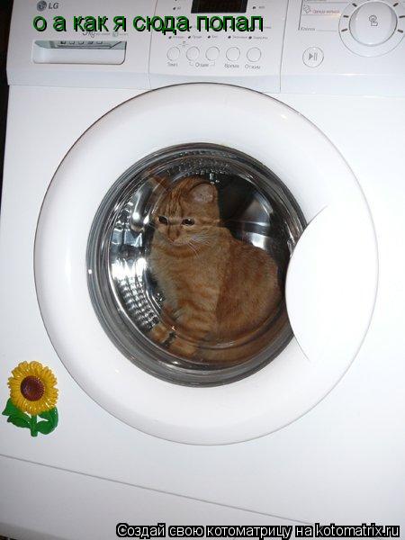 о а как я сюда попал... Котоматрица: о а как я сюда попал
