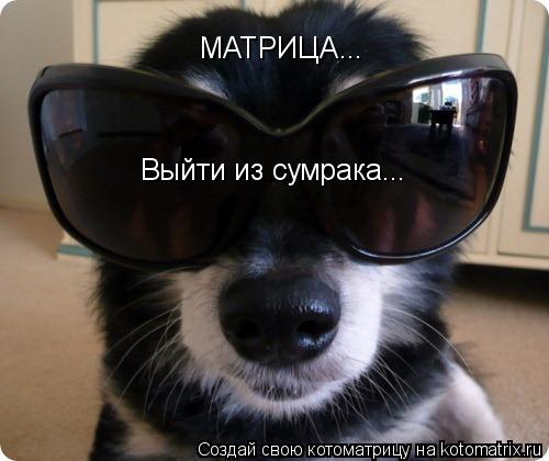 МАТРИЦА... Выйти из сумрака...... Котоматрица: МАТРИЦА... Выйти из сумрака...