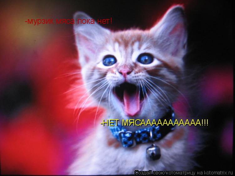 -мурзик мяса пока нет! -НЕТ МЯСААААААААААА!!!... Котоматрица: -мурзик мяса пока нет! -НЕТ МЯСААААААААААА!!!