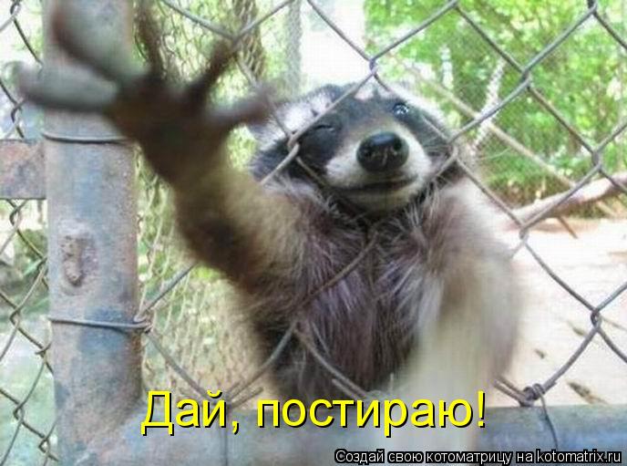 Дай, постираю!... Котоматрица: Дай, постираю!