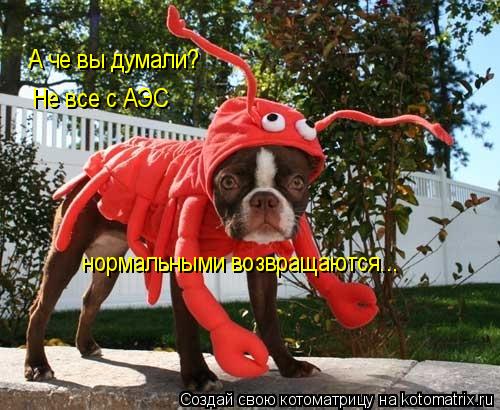 А че вы думали? Не все с АЭС нормальными возвращаются...... Котоматрица: А че вы думали? Не все с АЭС нормальными возвращаются...