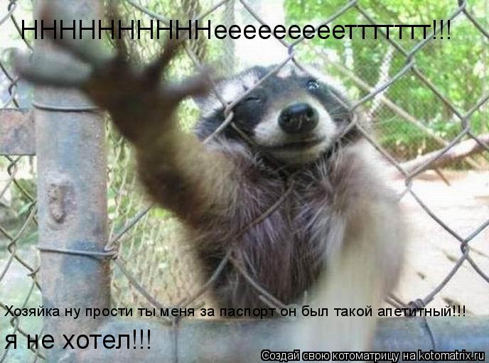 ННННННННННеееееееееттттттт!!! я не хотел!!! Хозяйка ну прости ты меня за паспорт он был такой апетитн... Котоматрица: ННННННННННеееееееееттттттт!!! я не хотел!!! Хозяйка ну прости ты меня за паспорт он был такой апетитный!!!