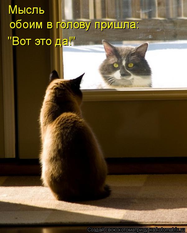 Мысль обоим в голову пришла: "Вот это да!"... Котоматрица: Мысль обоим в голову пришла: "Вот это да!"