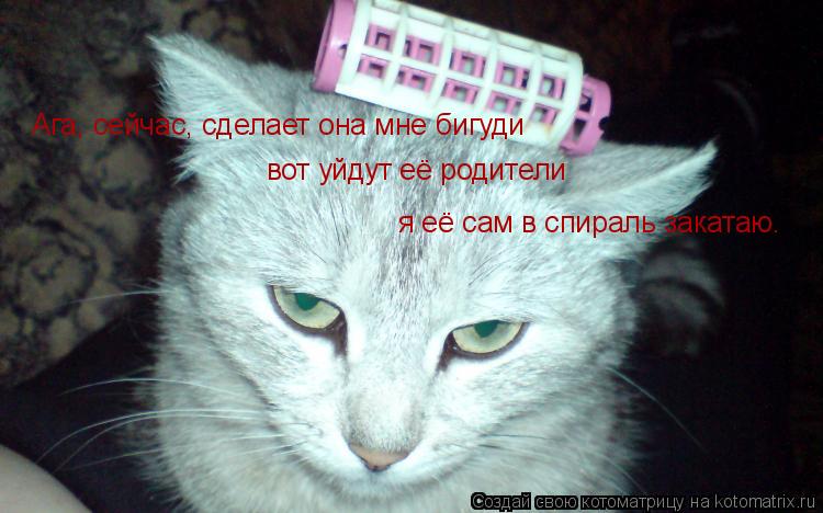 Ага, сейчас, сделает она мне бигуди вот уйдут её родители я её сам в спираль закатаю.... Котоматрица: Ага, сейчас, сделает она мне бигуди вот уйдут её родители я её сам в спираль закатаю.