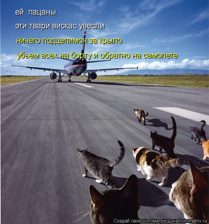 ей пацаны эти твари вискас увесли ничего подцепимся за крыло убьем всех на борту и обратно на само... Котоматрица: ей пацаны эти твари вискас увесли ничего подцепимся за крыло убьем всех на борту и обратно на самолете вернемся в Котию