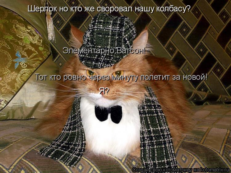 Шерлок но кто же своровал нашу колбасу? Элементарно Ватсон! Тот кто ровно через минуту полетит за нов... Котоматрица: Шерлок но кто же своровал нашу колбасу? Элементарно Ватсон! Тот кто ровно через минуту полетит за новой! Я?