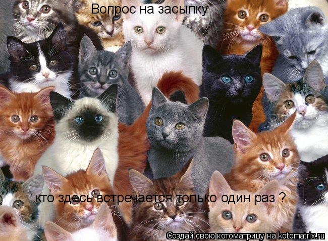 кто здесь встречается только один раз ? Вопрос на засыпку... Котоматрица: кто здесь встречается только один раз ? Вопрос на засыпку