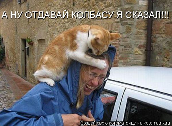 А НУ ОТДАВАЙ КОЛБАСУ Я СКАЗАЛ!!!... Котоматрица: А НУ ОТДАВАЙ КОЛБАСУ Я СКАЗАЛ!!!