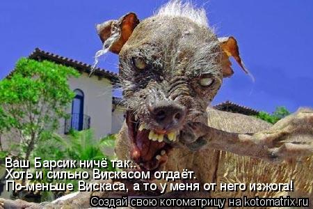 Ваш Барсик ничё так.. Хоть и сильно Вискасом отдаёт. По-меньше Вискаса, а то у меня от него изжога!... Котоматрица: Ваш Барсик ничё так.. Хоть и сильно Вискасом отдаёт. По-меньше Вискаса, а то у меня от него изжога!