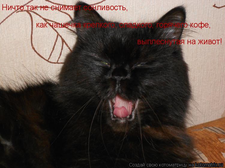 Котоматрица: Ничто так не снимает сонливость,  как чашечка крепкого, сладкого, горячего кофе, выплеснутая на живот!
