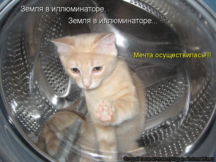 Котоматрица: Земля в иллюминаторе, Земля в иллюминаторе... Мечта осуществилась!!!