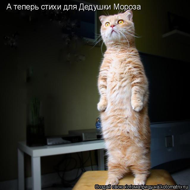 Котоматрица: А теперь стихи для Дедушки Мороза