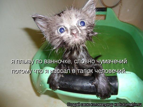 Котоматрица: я плыву по ванночке, словно чумачечий потому что я нассал в тапок человечий...
