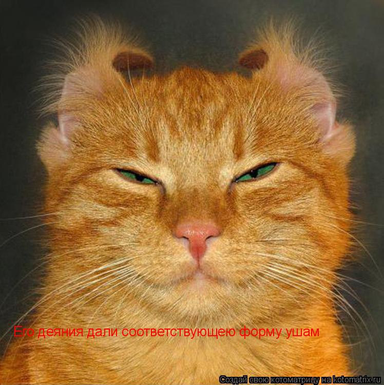 Котоматрица: Его деяния дали соответствующею форму ушам