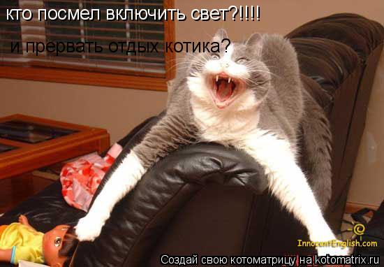 Котоматрица: кто посмел включить свет?!!!! и прервать отдых котика?