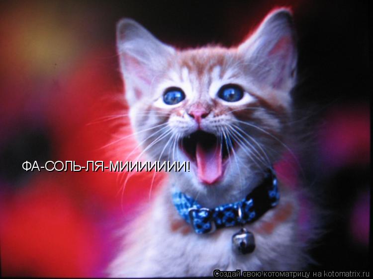 Котоматрица: ФА-СОЛЬ-ЛЯ-МИИИИИИИ!