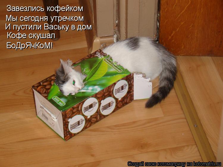 Котоматрица: Завезлись кофейком Мы сегодня утречком И пустили Ваську в дом Кофе скушал БоДрЯчКоМ!