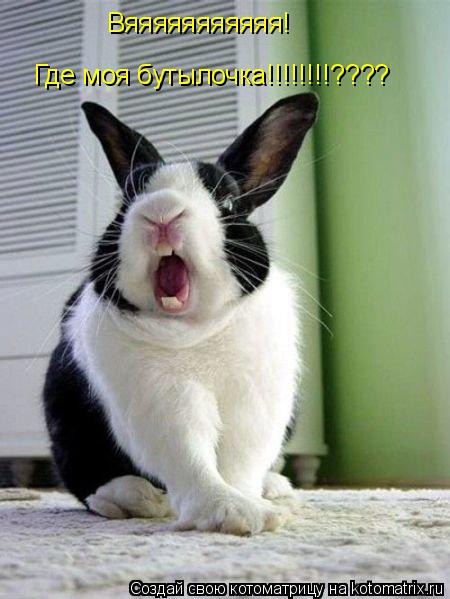 Котоматрица: Вяяяяяяяяяяя! Где моя бутылочка!!!!!!!!????