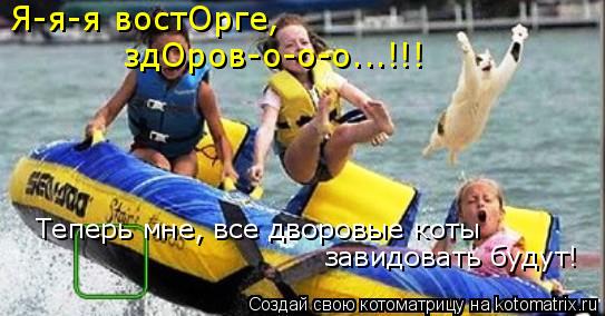 Котоматрица: Я-я-я востОрге,  здОров-о-о-о...!!! Теперь мне, все дворовые коты завидовать будут!