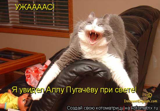 Котоматрица: УЖААААС! Я увидел Аллу Пугачёву при свете!
