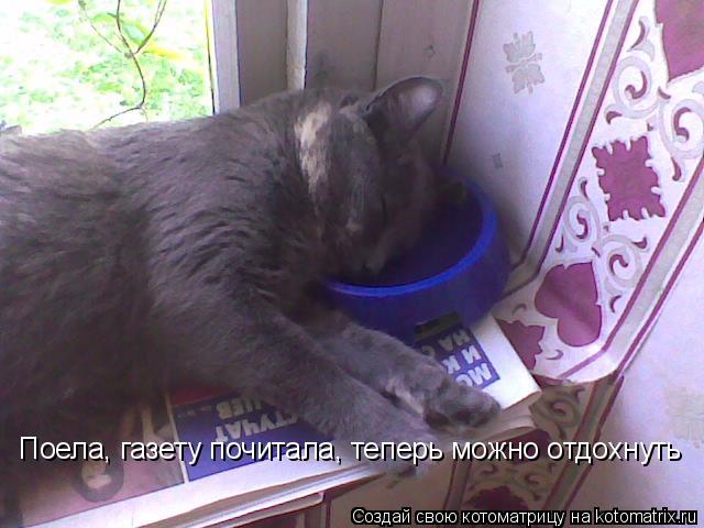 Котоматрица: Поела, газету почитала, теперь можно отдохнуть