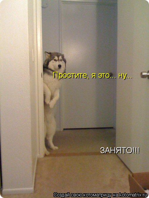 Котоматрица: ЗАНЯТО!!! Простите, я это... ну...