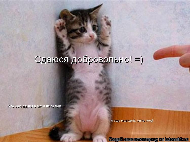 Котоматрица: Сдаюся добровольно! =) А то еще пахнет в меня из пальца... я еще молодой, жить хочу!