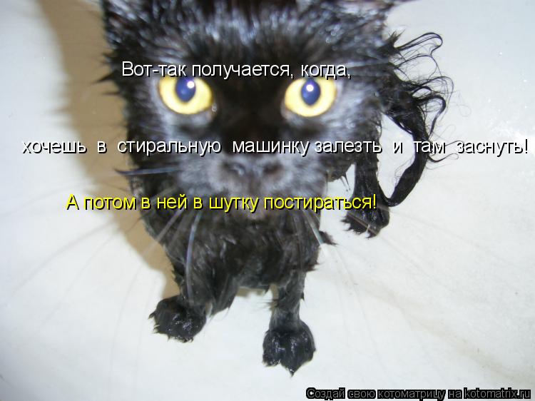 Котоматрица: Вот-так получается, когда, хочешь  в  стиральную  машинку залезть  и  там  заснуть! А потом в ней в шутку постираться!