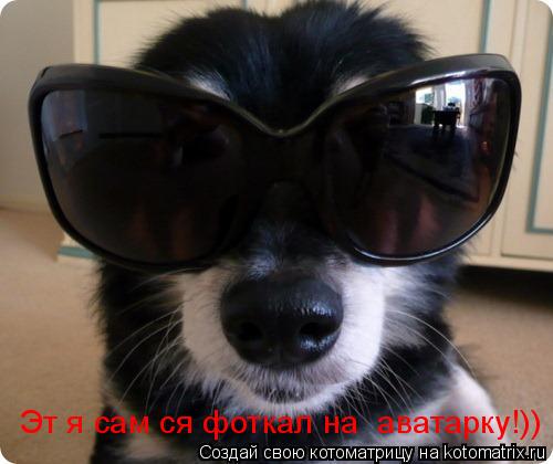 Котоматрица: Эт я сам ся фоткал на  аватарку!))