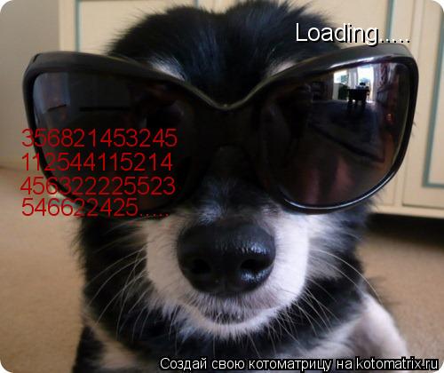 Котоматрица: Loading..... 356821453245 112544115214 456322225523 546622425.....