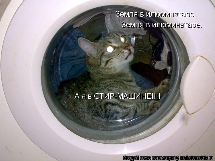 Котоматрица: Земля в илюминатаре. Земля в илюминатаре. А я в СТИР-МАШИНЕ!!!!