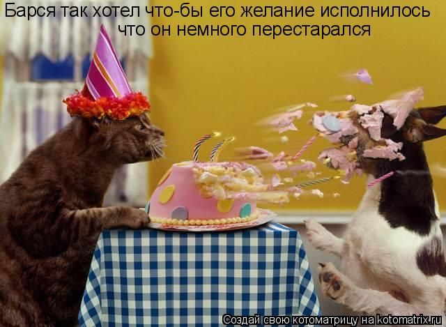 Котоматрица: Барся так хотел что-бы его желание исполнилось что он немного перестарался