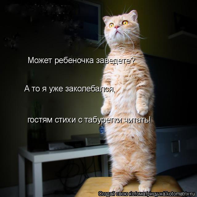 Котоматрица: Может ребеночка заведете? А то я уже заколебался, гостям стихи с табуретки читать!