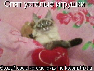 Котоматрица: Спят усталые игрушки