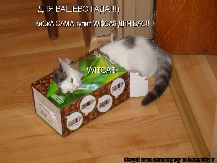 Котоматрица: WI$CA$ ДЛЯ ВАШЕВО ГАДА!!!) КиСкА САМА купит WI$CA$ ДЛЯ ВАС!!