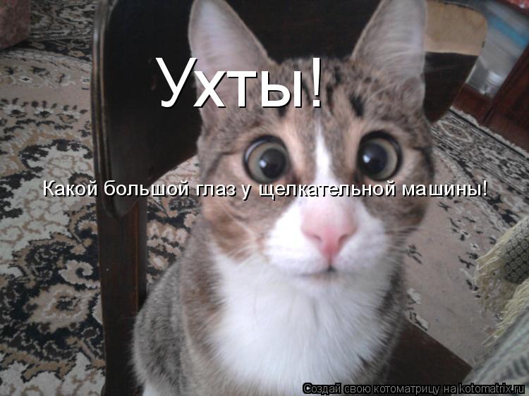 Котоматрица: Ухты! Какой большой глаз у щелкательной машины!