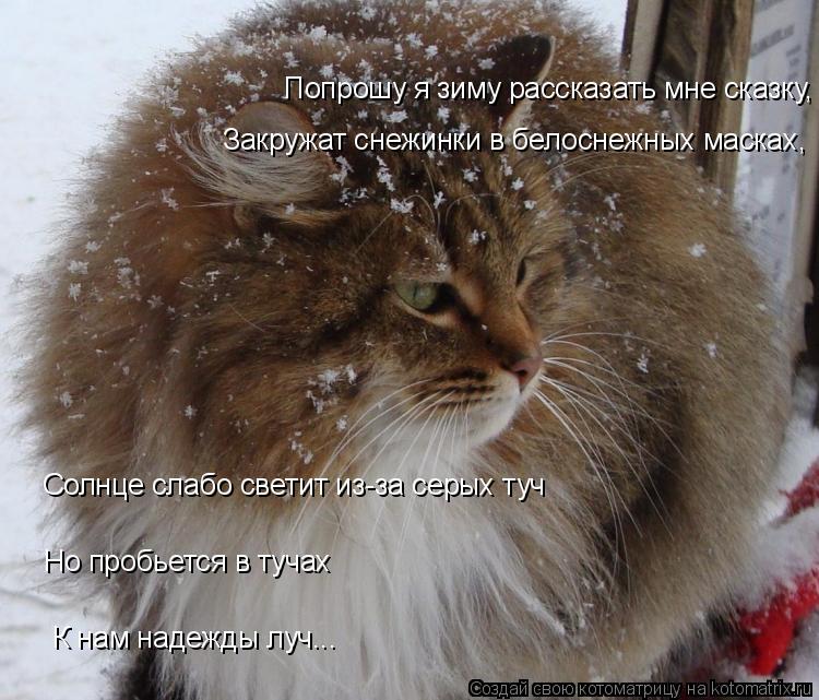 Котоматрица: Но пробьется в тучах Попрошу я зиму рассказать мне сказку, К нам надежды луч... Солнце слабо светит из-за серых туч Закружат снежинки в белос
