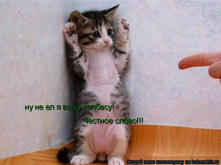 Котоматрица: ну не ел я вашу колбасу! Честное слово!!!